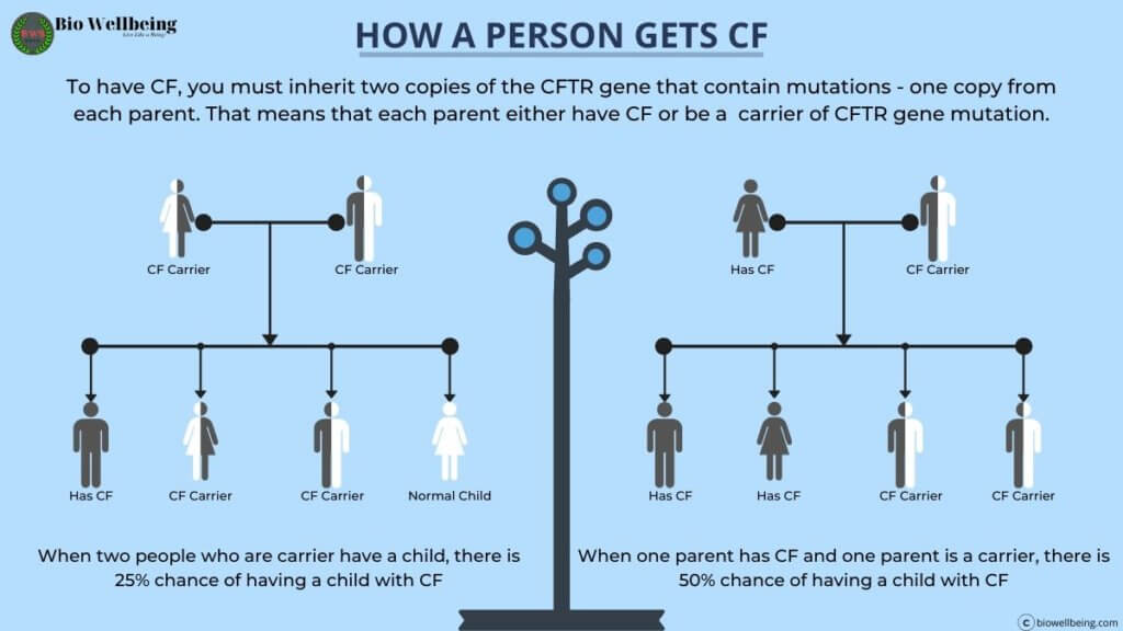 cf-inherits-cystic-fibrosis-inherits