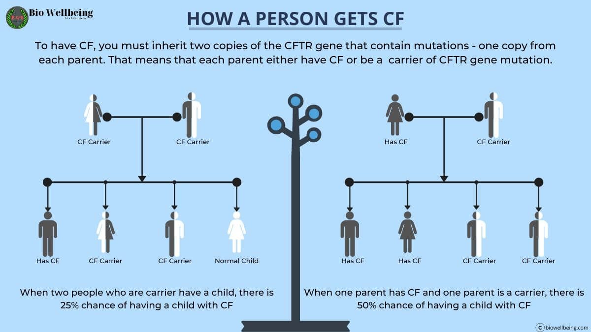 Cystic Fibrosis Cf Symptoms Causes Diagnosis Treatments