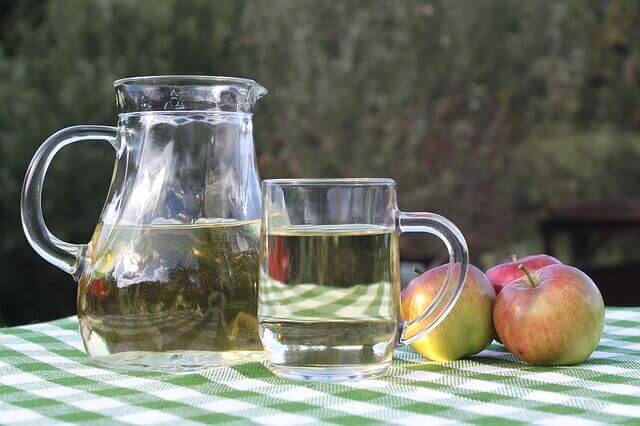 image showing apple cider vinegar and apple