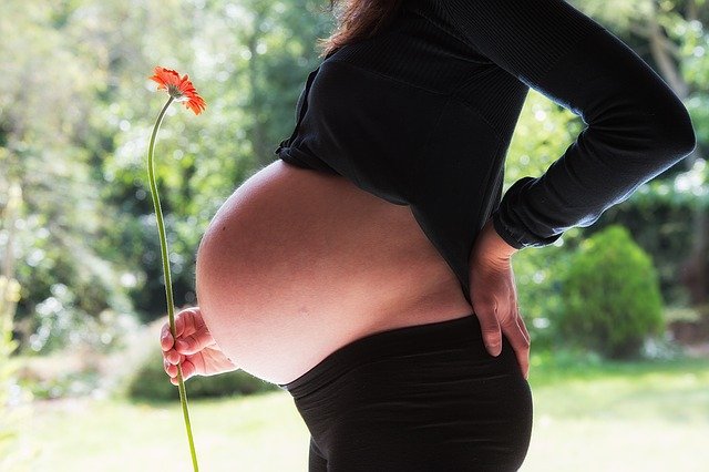 image showing a beautiful pregnant women