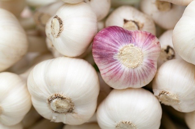 image showing garlics which are good for lowering cholesterol level