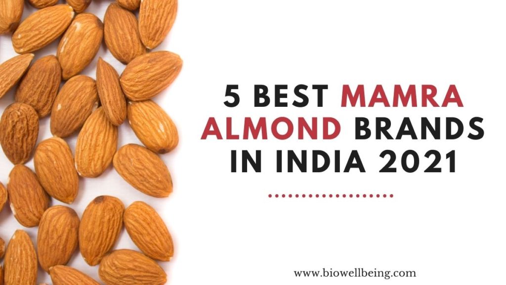 5 Best Mamra Almond Brands In India 2022 (July) Premium Quality Badam