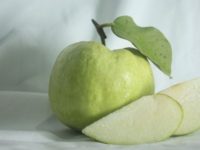 Can A Diabetic Patient Eat Guava? Guava For Diabetes Patient Is Good or Not?