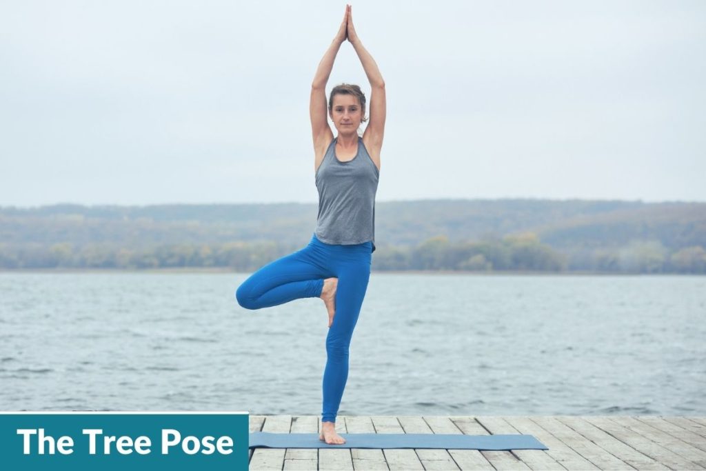 image showing the tree pose