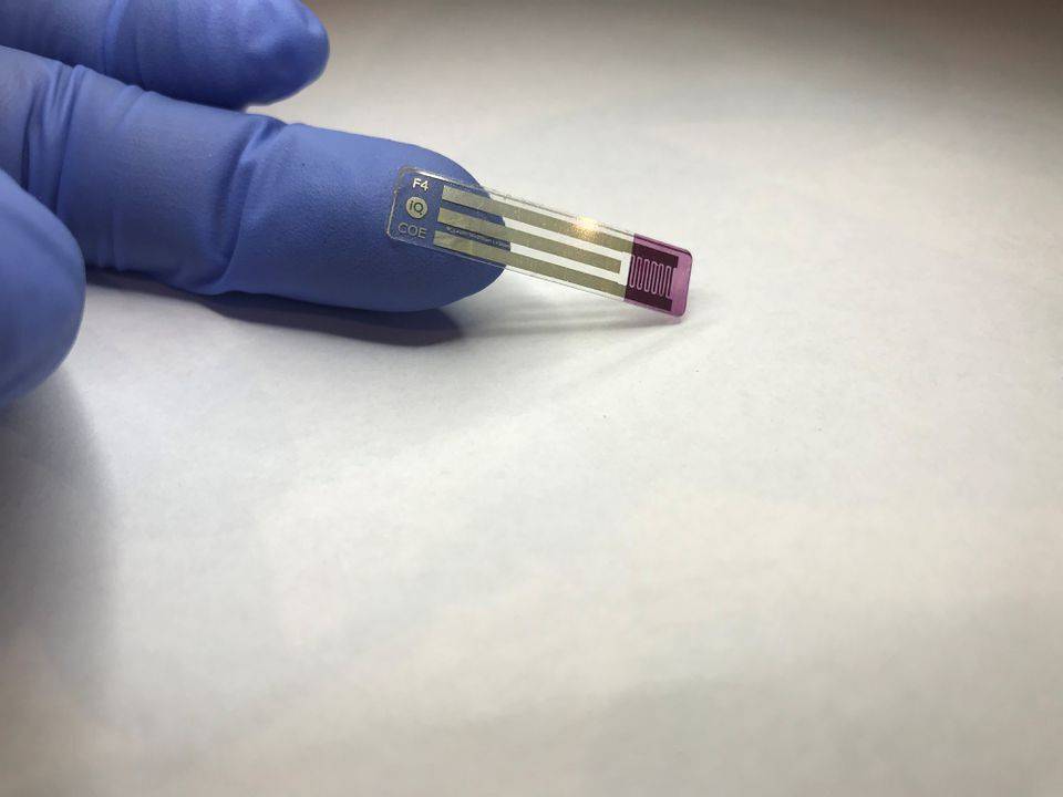 A non-invasive, printable saliva test strip for diabetics is seen at the University of Newcastle in Newcastle, New South Wales, Australia, in this undated recent picture obtained by Reuters on July 12, 2021. Courtesy of University of Newcastle / Handout via REUTERS