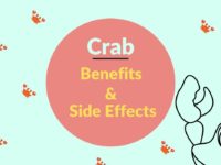 Crab Benefits and Side Effects & Different Varieties