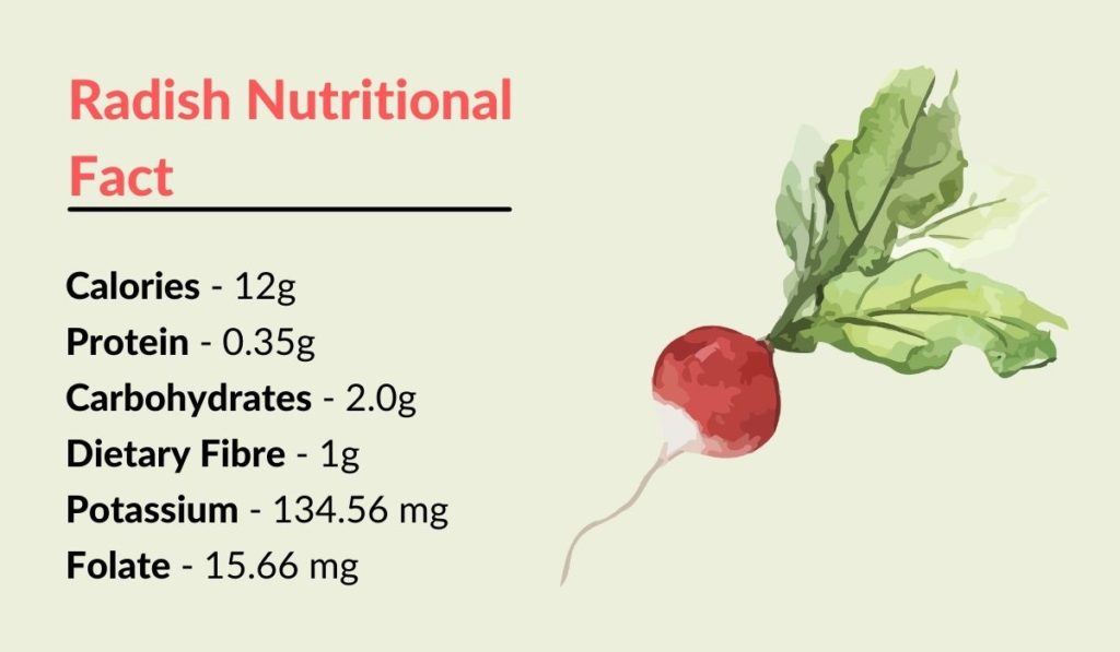 Image showing Radish Nutritional Fact