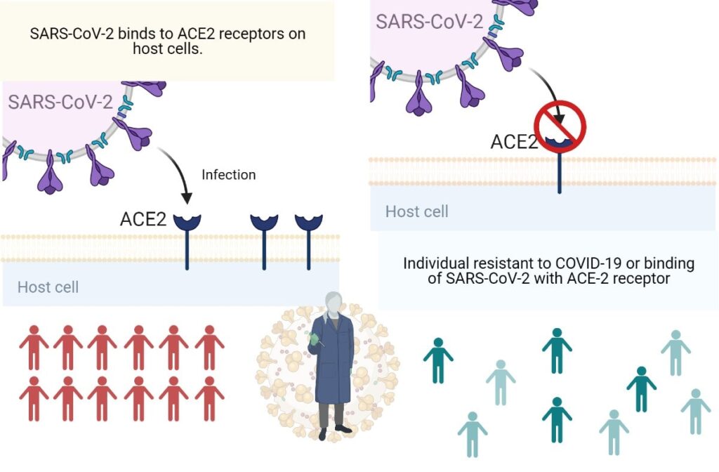 Image showing SARS-CoV-2 and ACE-2 receptor binding and searching of COVID-19 resistant individual