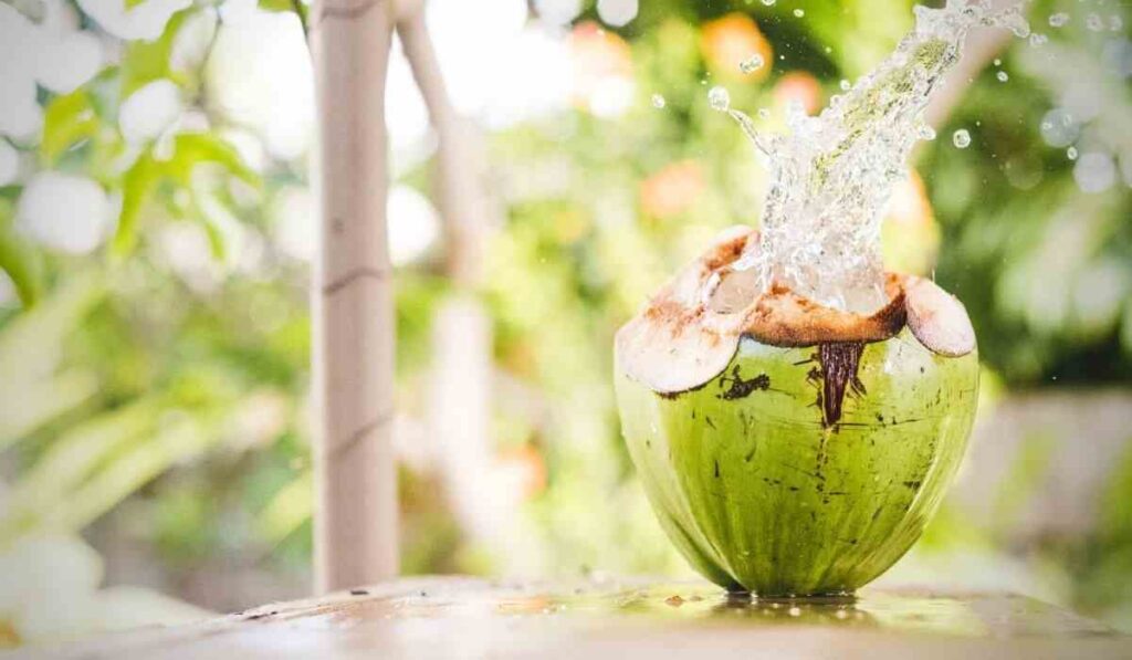 benefits of coconut water2