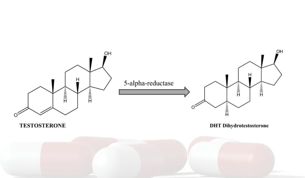 testosterones to dht conversion through 5 alpha 
