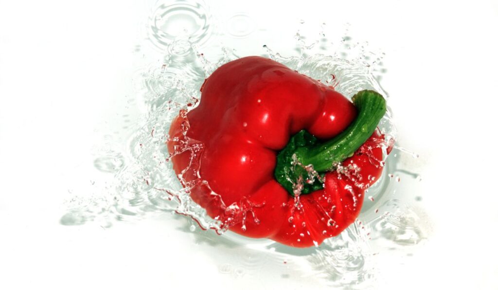 red bell pepper