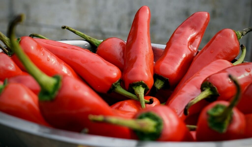 Is chilli/chili healthy for you?
