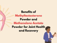 The Benefits of Methyltestosterone Powder and Methenolone Acetate Powder for Joint Health and Recovery