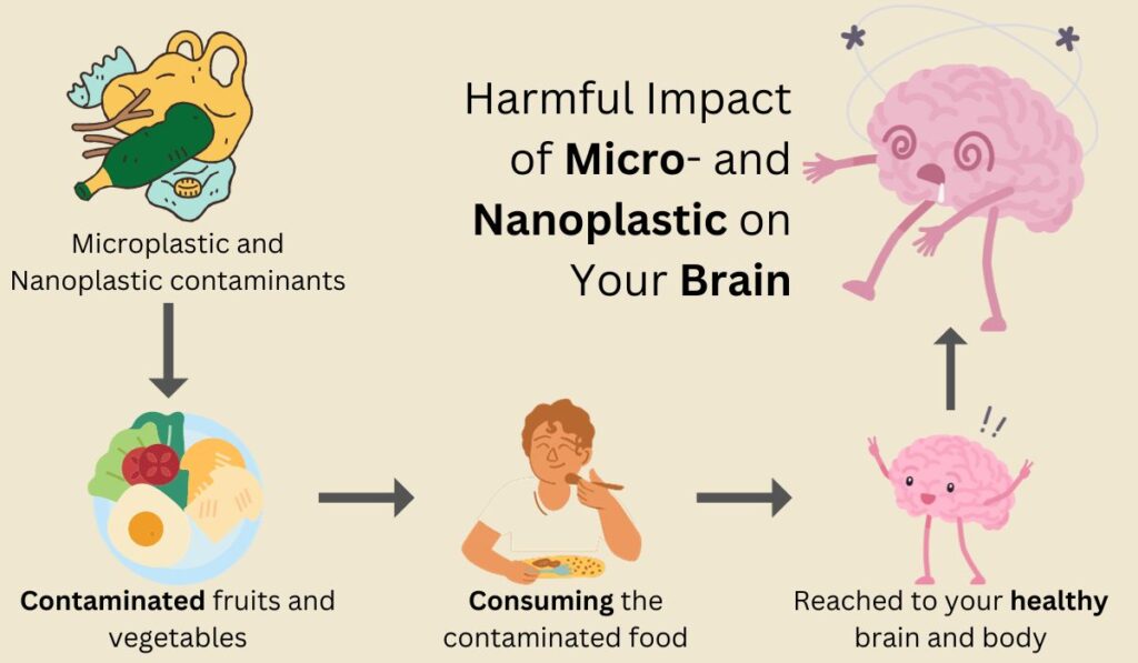 Harmful Impact of Micro- and Nanoplastic on Your Brain