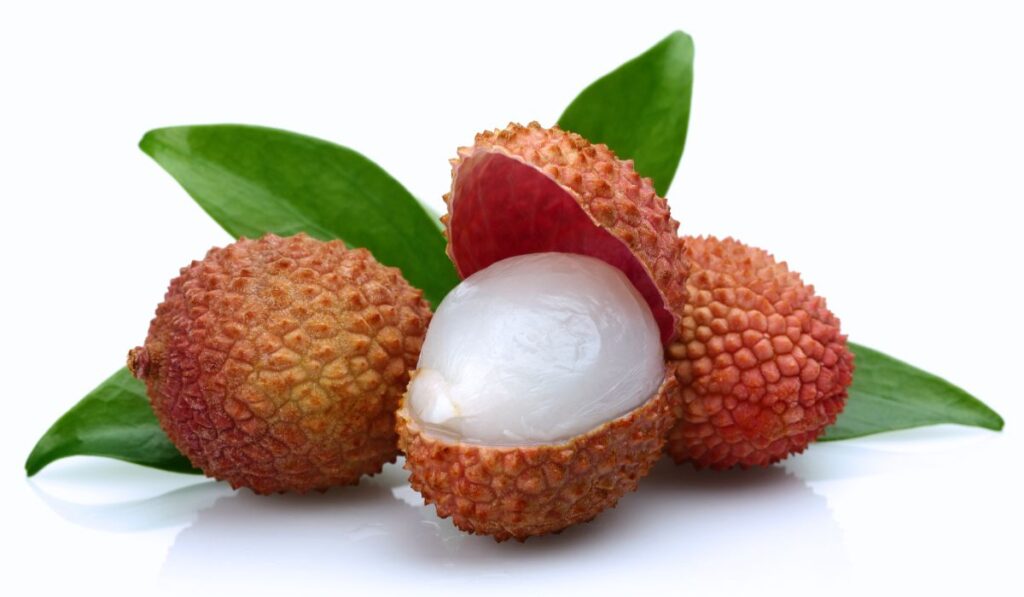 Lychee rainy season fruit