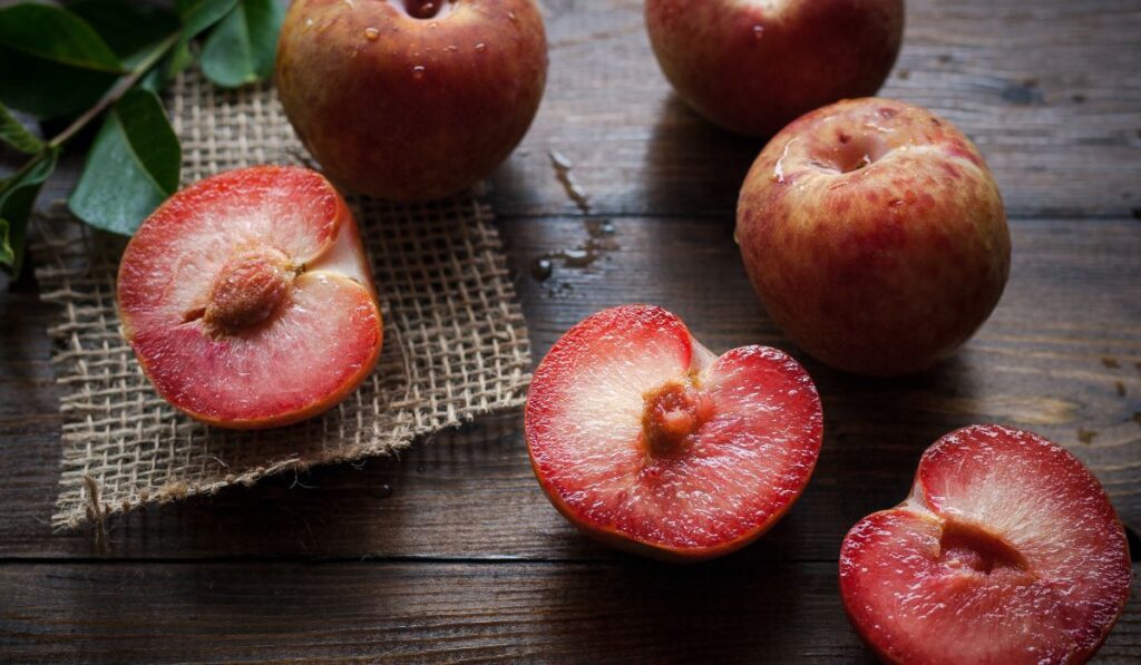 Plums rainy season fruits