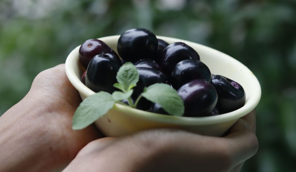 black plum jamun