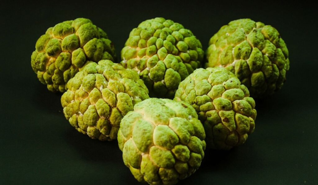 Custard apple a rainy season fruit